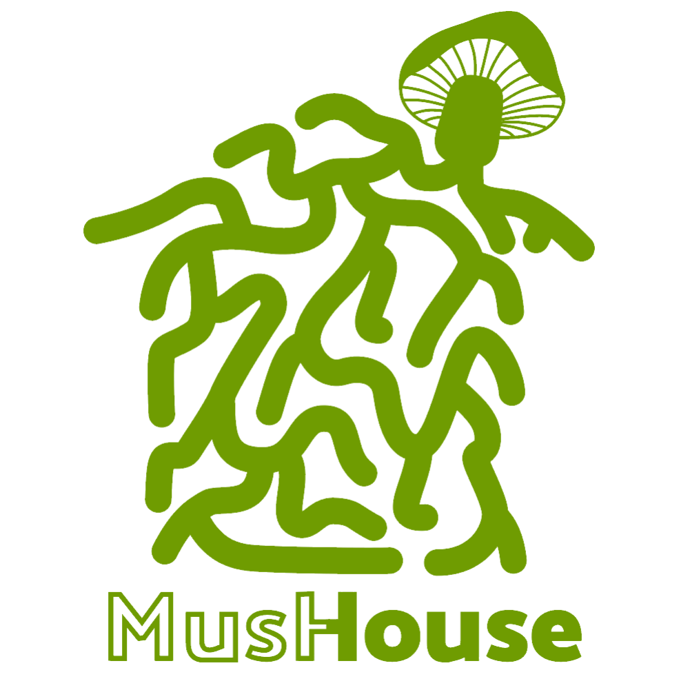 MusHouse